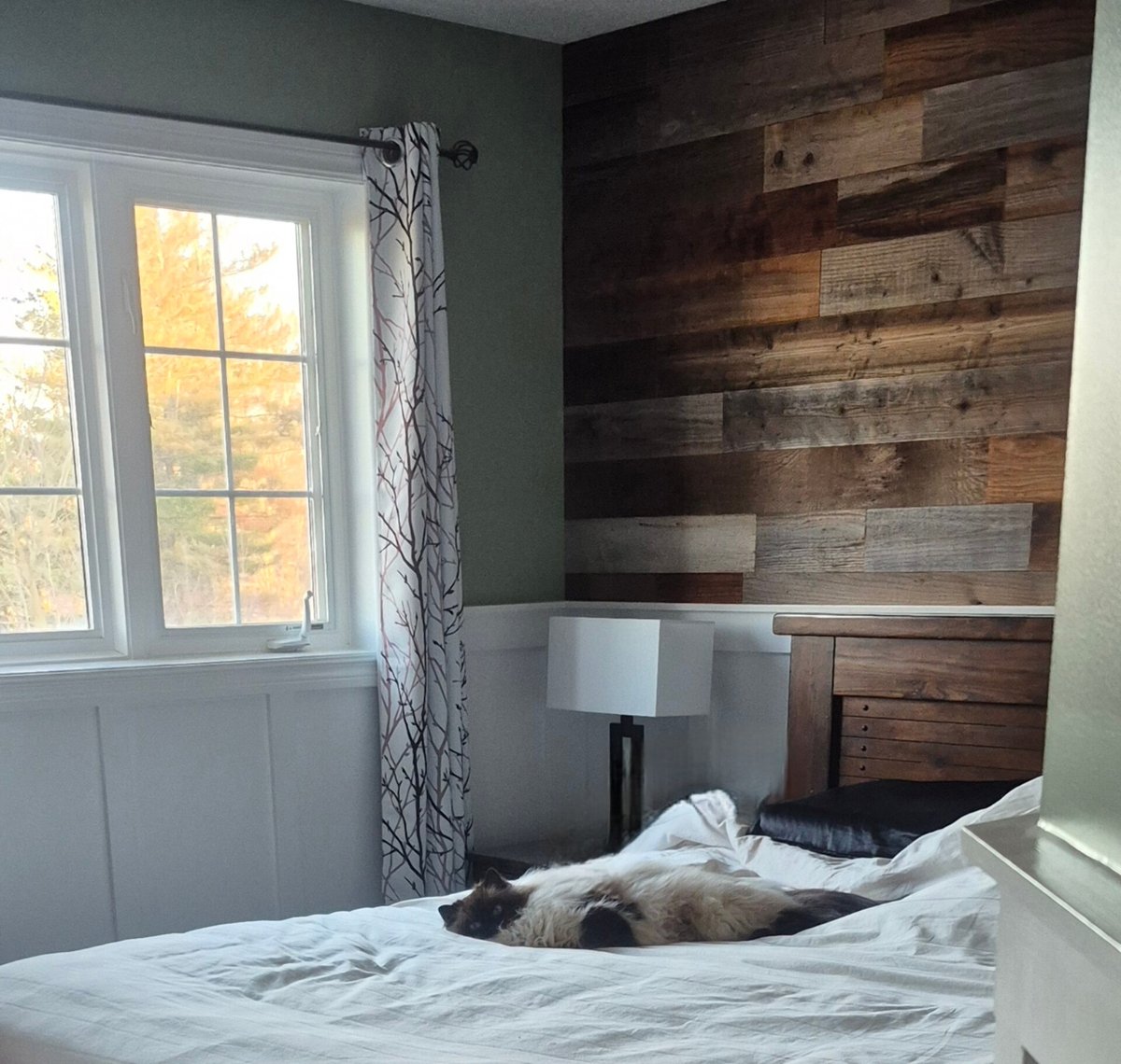 𝓡𝓐𝓥𝓔𝓝𝓸𝓾𝓼 𝓡𝓪𝓬𝓱𝓮𝓵 tweet media