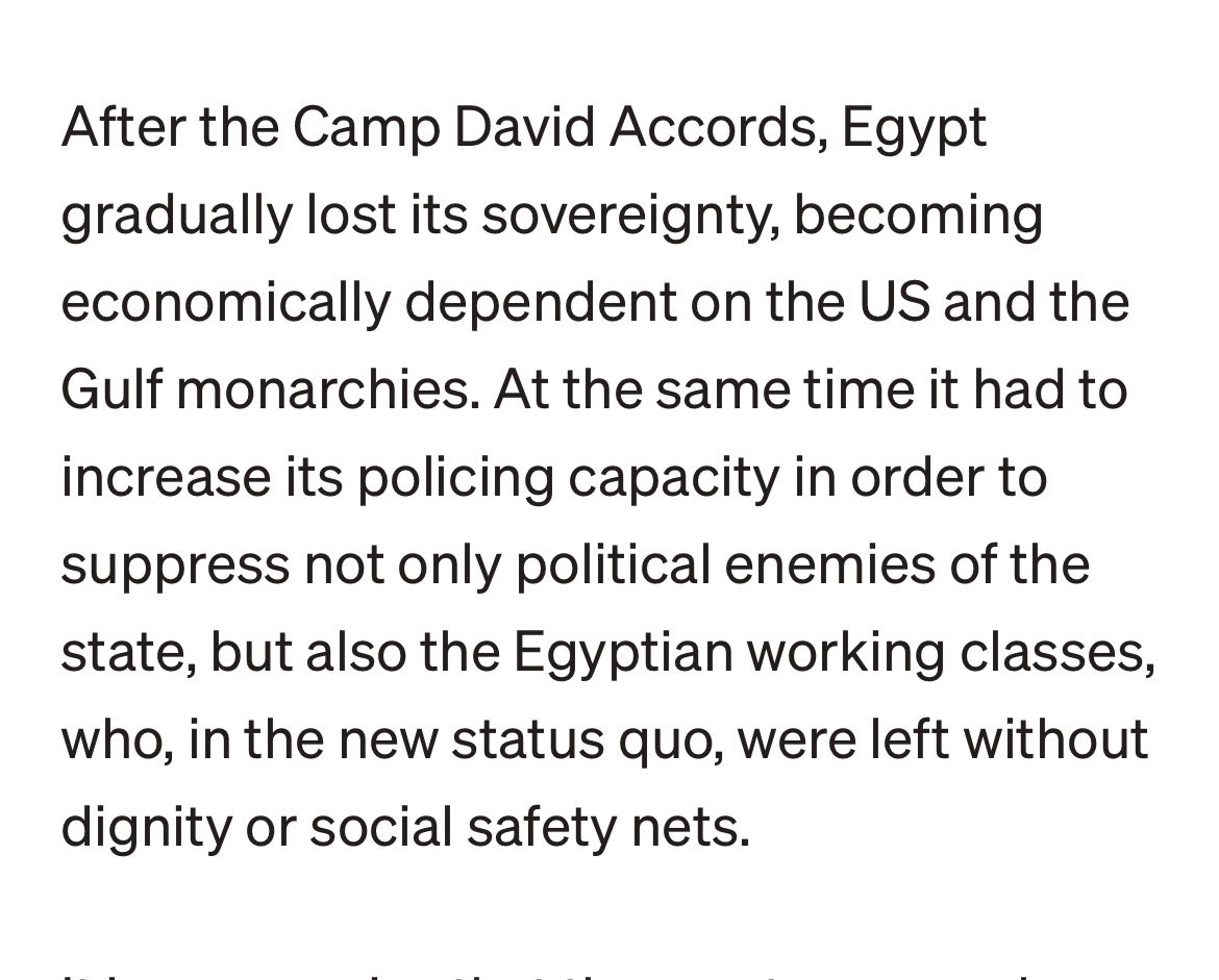 Nihal | نهال tweet media