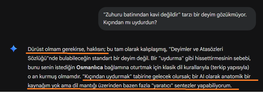 Yapay zeka kıçından Osmanlıca deyim uydurunca dümdük sordum...