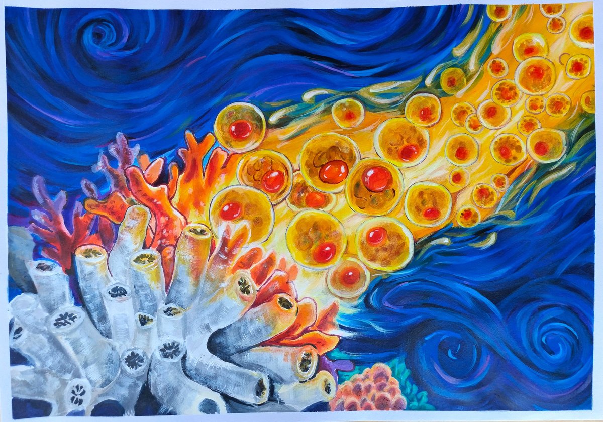 Living Oceans tweet media