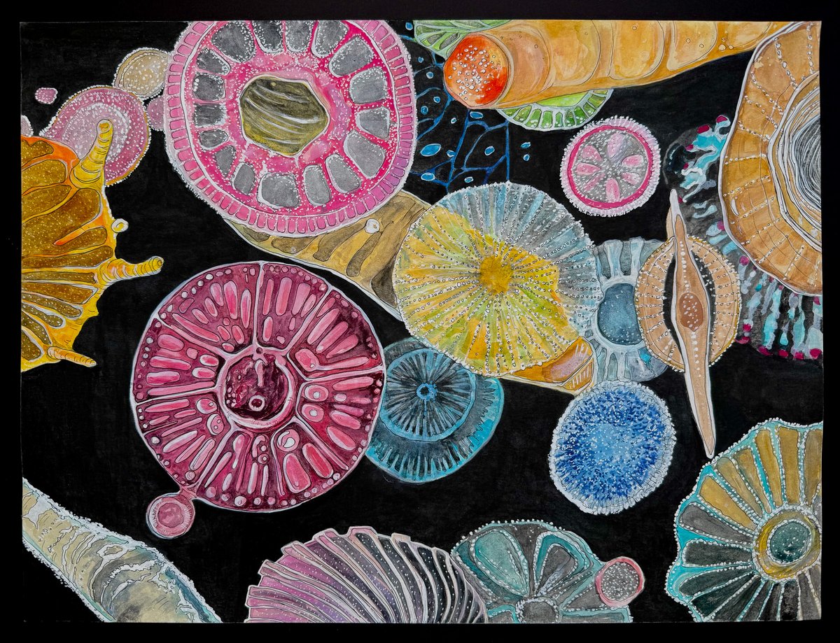 Living Oceans tweet media