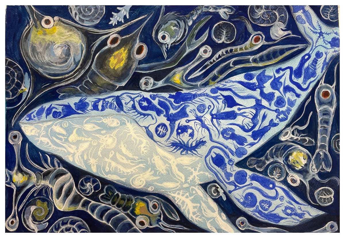 Living Oceans tweet media