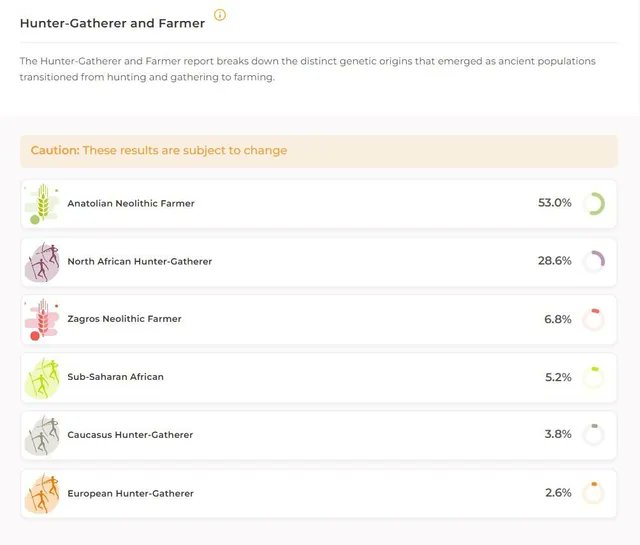 Wofl CTO Lead tweet media