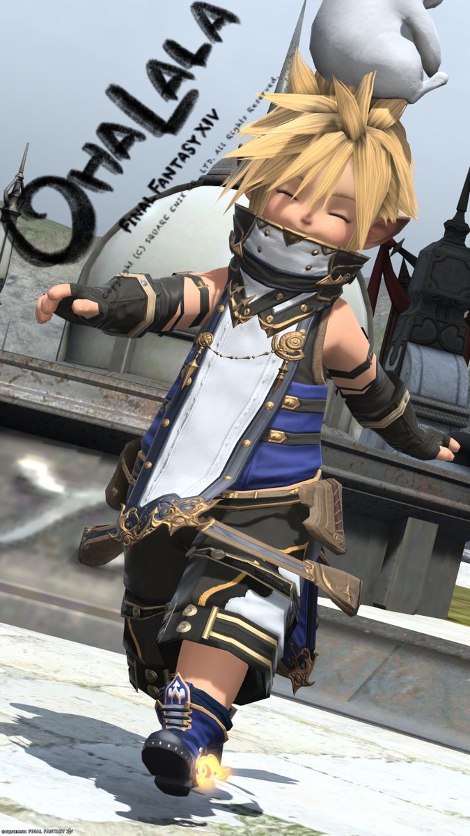 アズ(Azu Lite)🐨Aegis tweet media