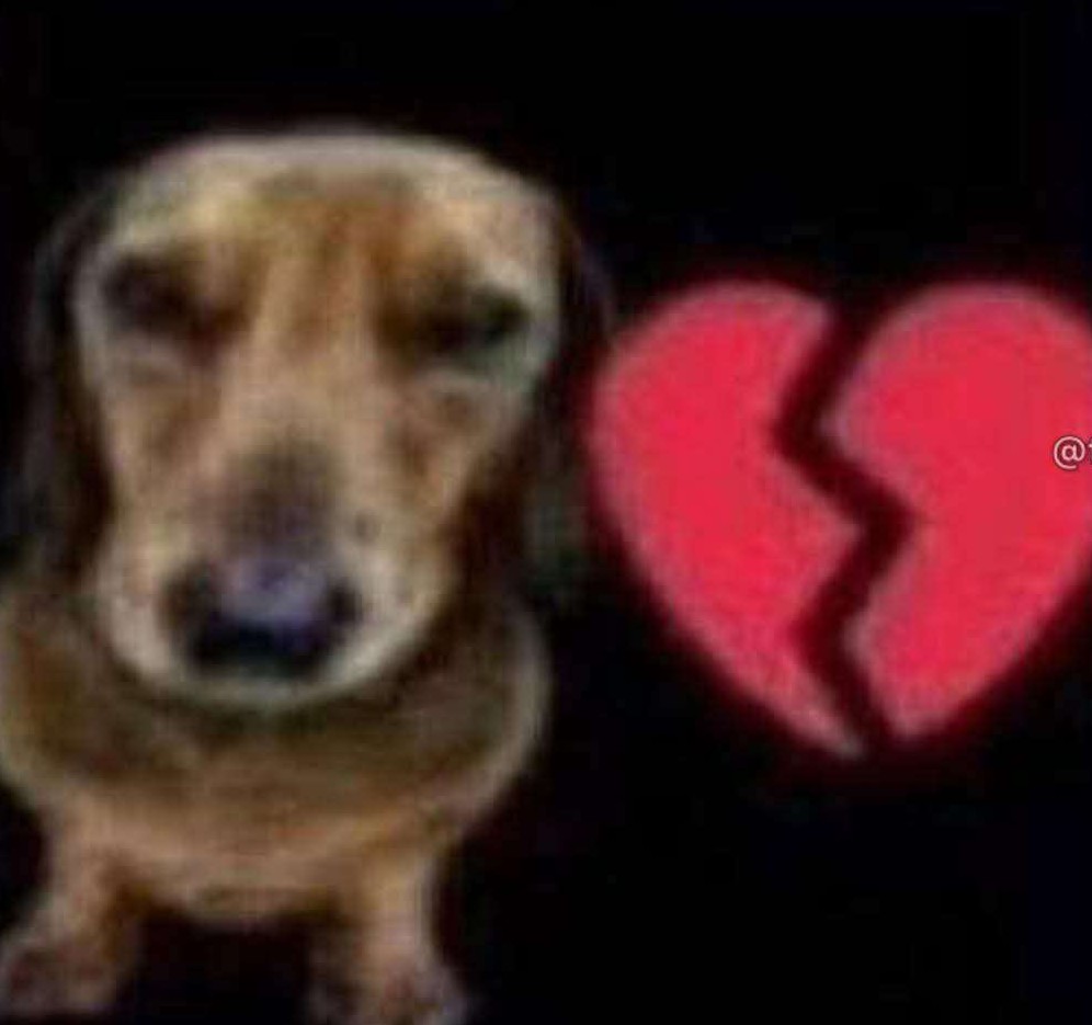 𝙍𝙖𝙣𝙙Ø𝙢 👾ゞ tweet media