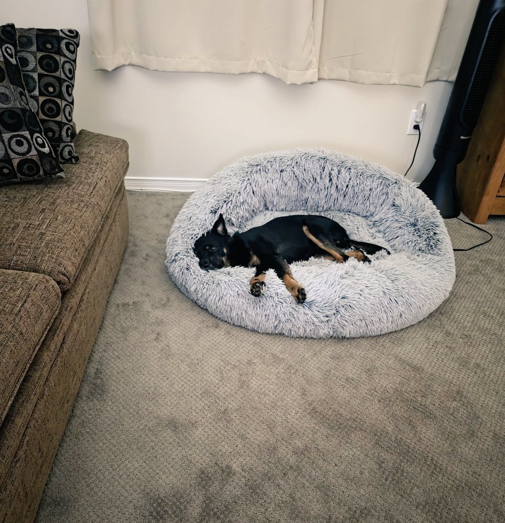 CanadianPenny1's tweet image. We had an earthquake today...I was very bothered ☺️ #Ottawa