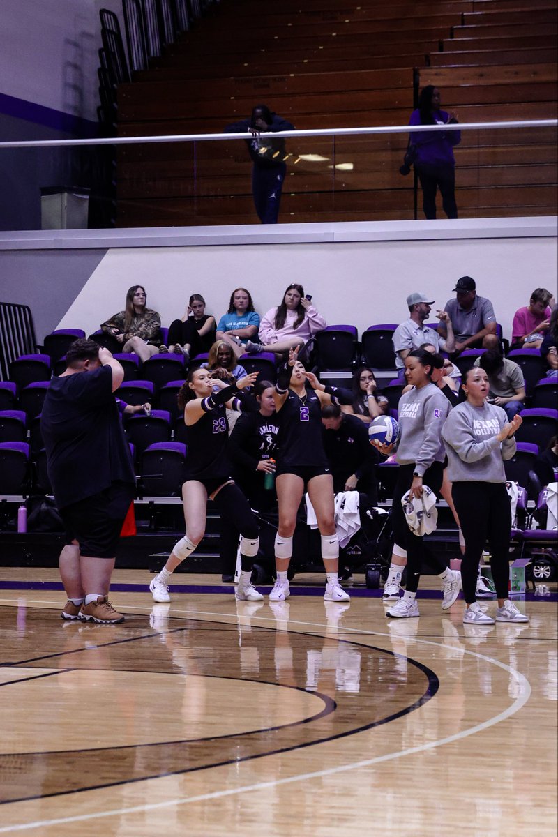 Tarleton State Volleyball tweet media