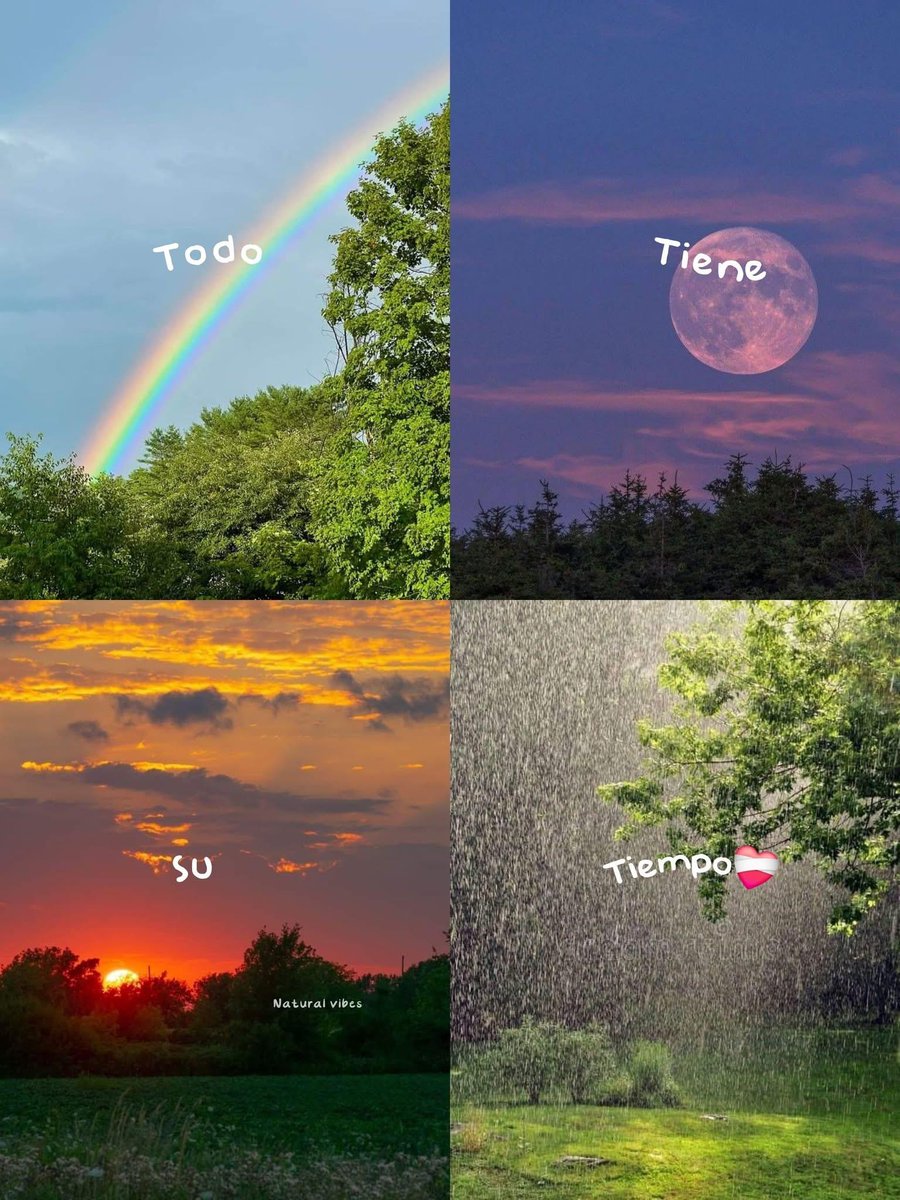 Paz Arguetta♛ tweet media