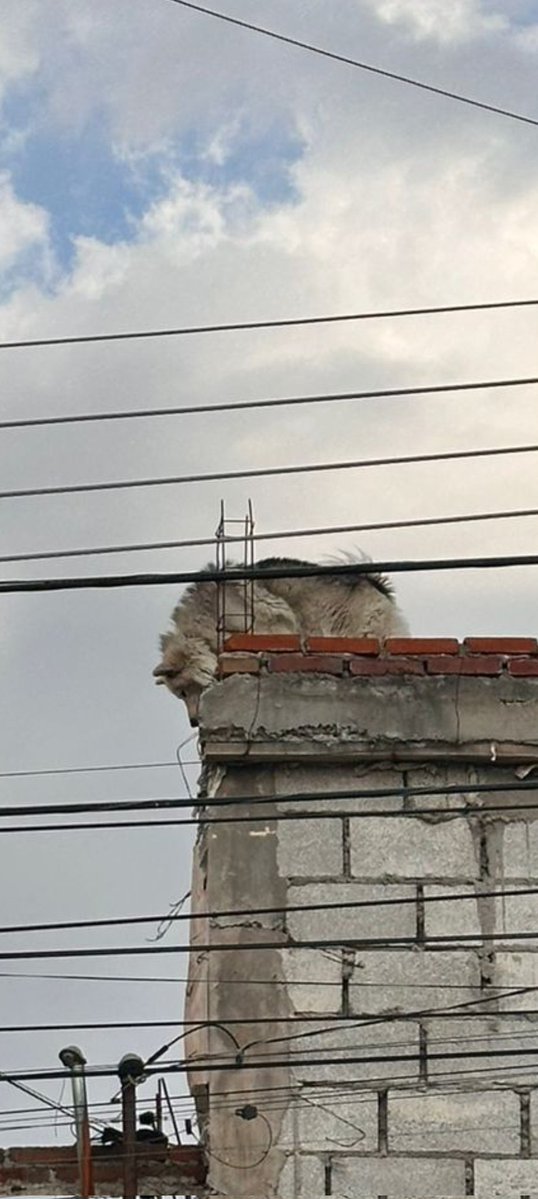 ★·.·´HeChIzErO`·.·★ tweet media