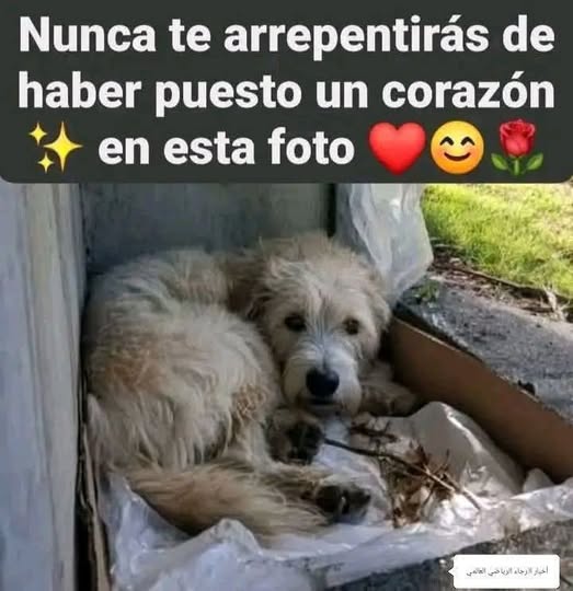 Pa Cas🤜🤛 tweet media