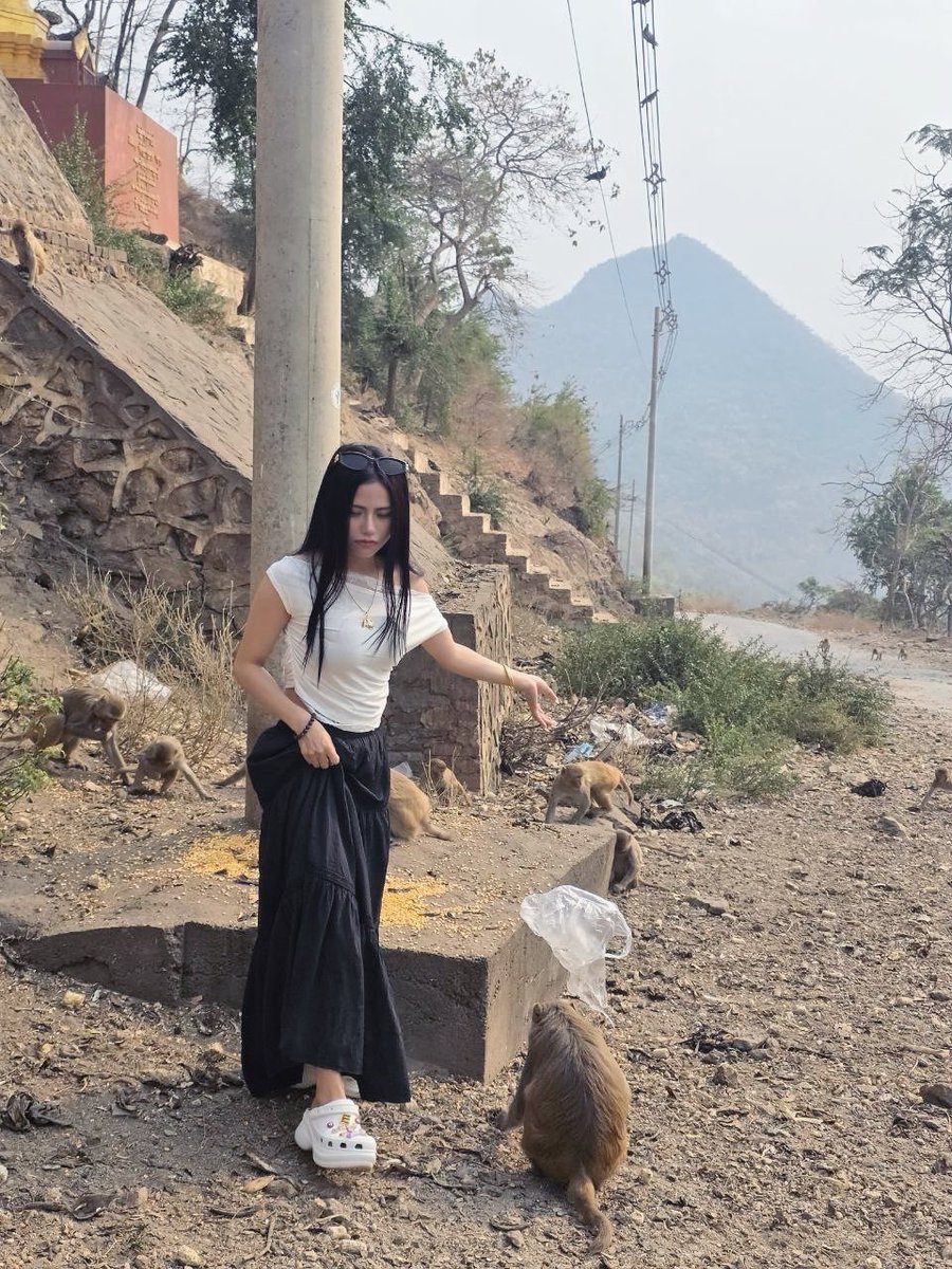 Aom2kham's tweet image. #play #monkey