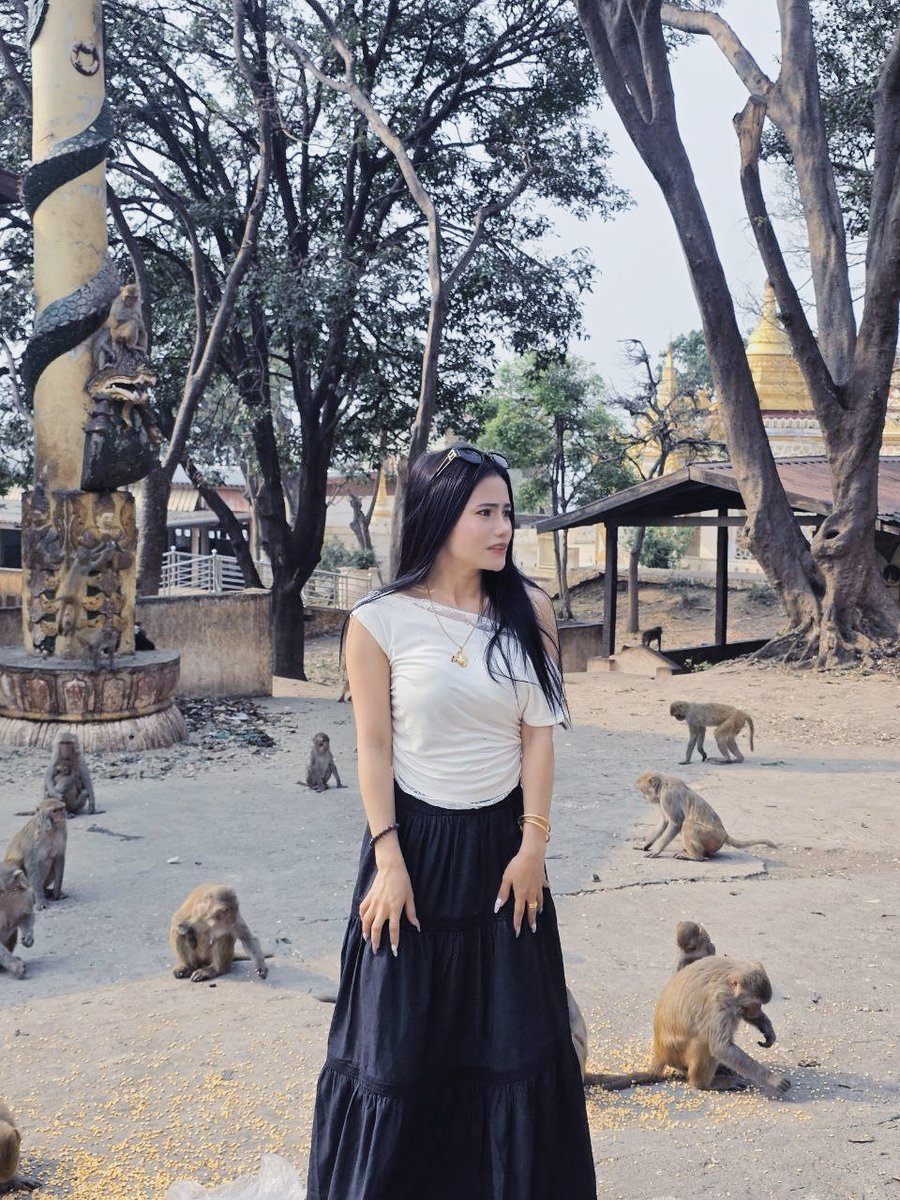 Aom2kham's tweet image. #play #monkey