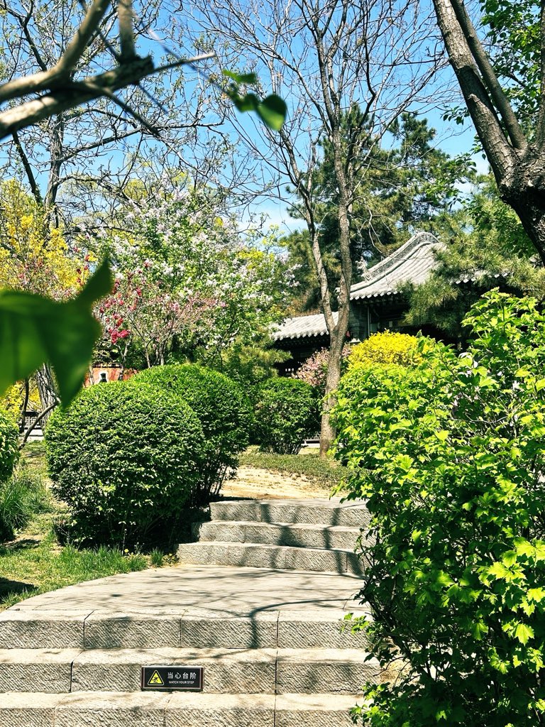 david_andrew123's tweet photo. Bright spring sunshine, all things growing.
Ancient gates frame blooming gardens, where every step leads to new life and endless vitality ✨
#SpringBright #AllThingsGrow #AncientGarden #SpringVibes https://t.co/oHyCmfVdhh