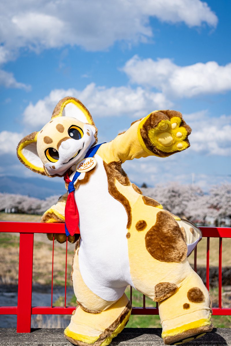 わどん tweet media