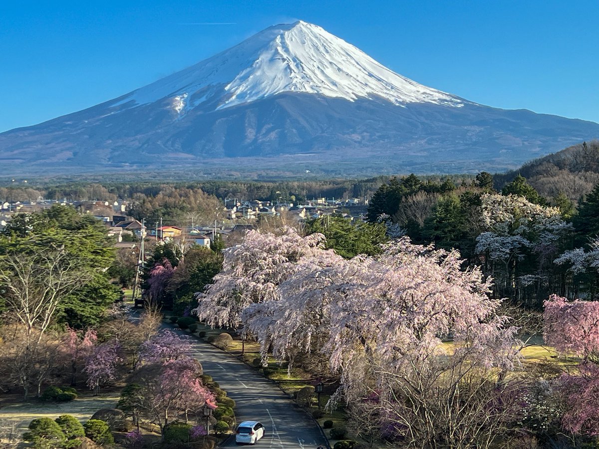 早水健一 tweet media