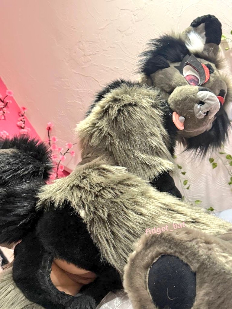 Fidget The Bat🦇 tweet media