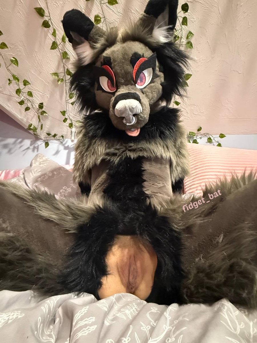 Fidget The Bat🦇 tweet media