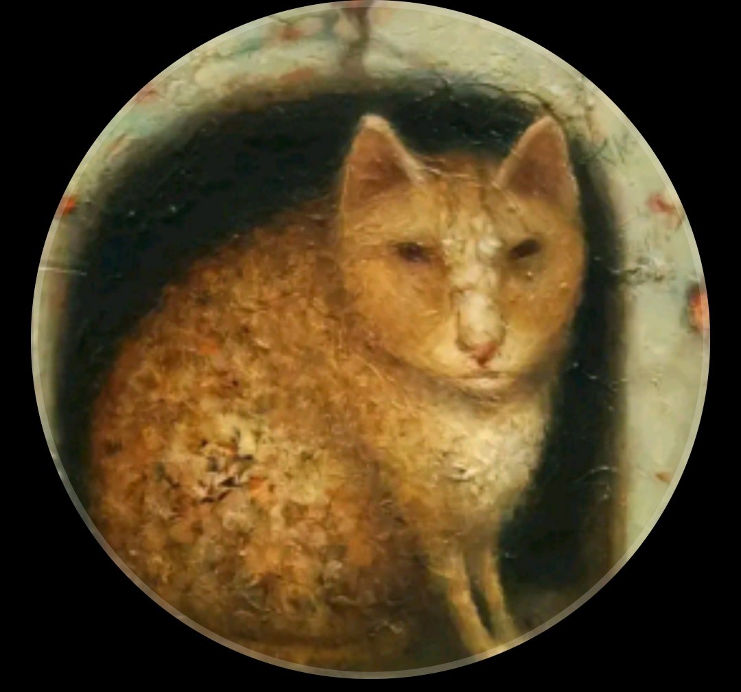 Finn Wolfhard vai te pegar tweet media