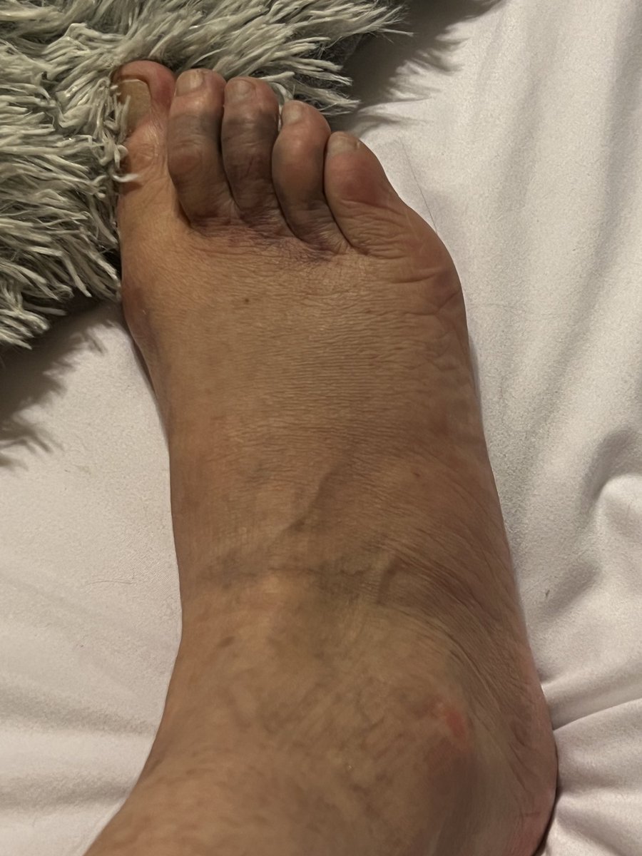 Becky Ancira Robertson tweet media