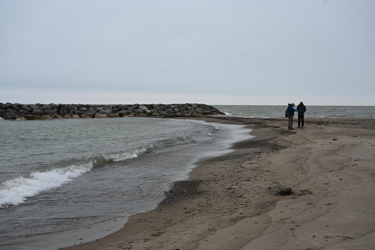 USACE Buffalo tweet media