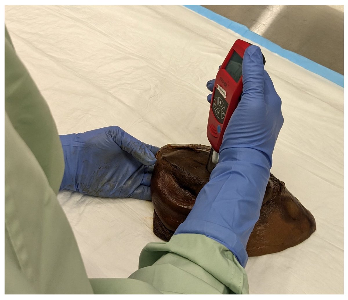 Bioeng_MDPI's tweet image. 💥Excited for the publication: "Investigating the Reliability of Shore Hardness in the Design of Procedural Task Trainers"
🔗brnw.ch/21x1BgD
📌 #Biomaterials #MedicalSimulation #Haptics #TissueEngineering #Biomechanics #MedicalEducation