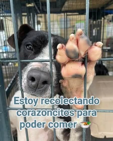 Pa Cas🤜🤛 tweet media