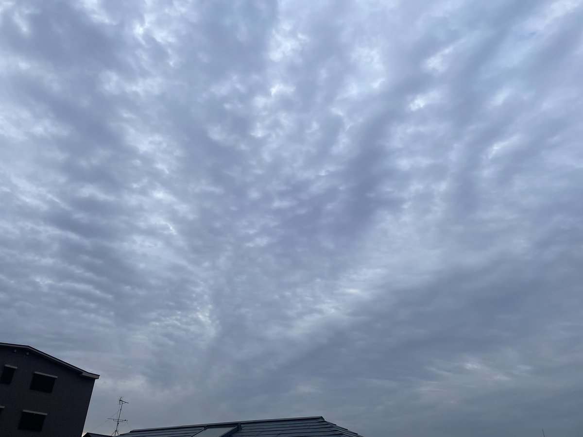 絵理 次はガーデンシアター tweet media