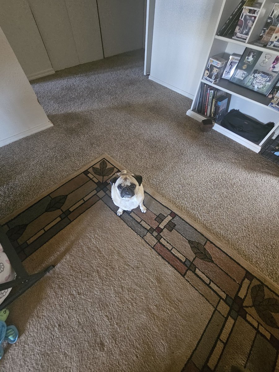 Soulwell tweet media