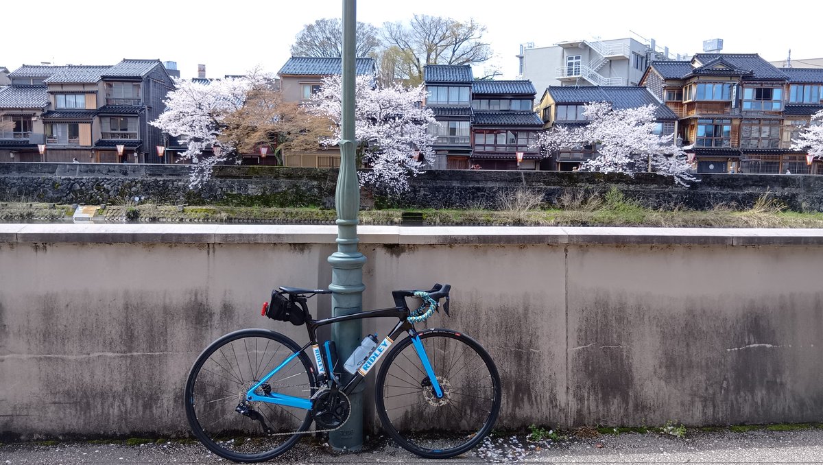 ゴンザレス@朝の挨拶回り自主制限中 tweet media