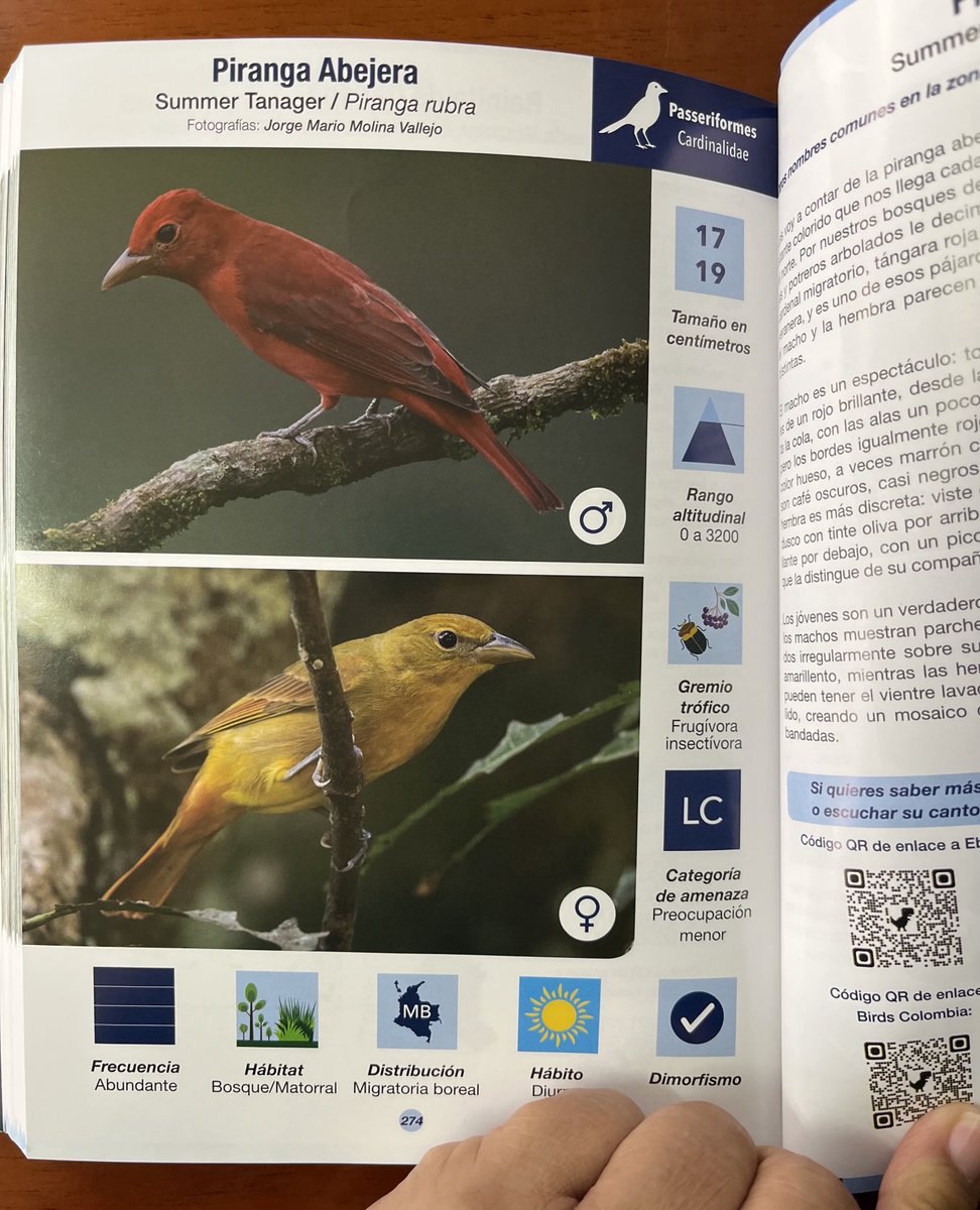 Javier Valencia G. tweet media