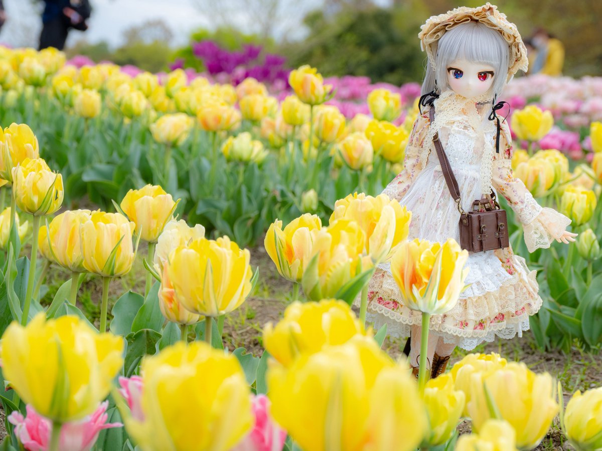 エルフィーネ🐈⸒⸒⸒ @アイドール大阪ありがとうございました✨ tweet media