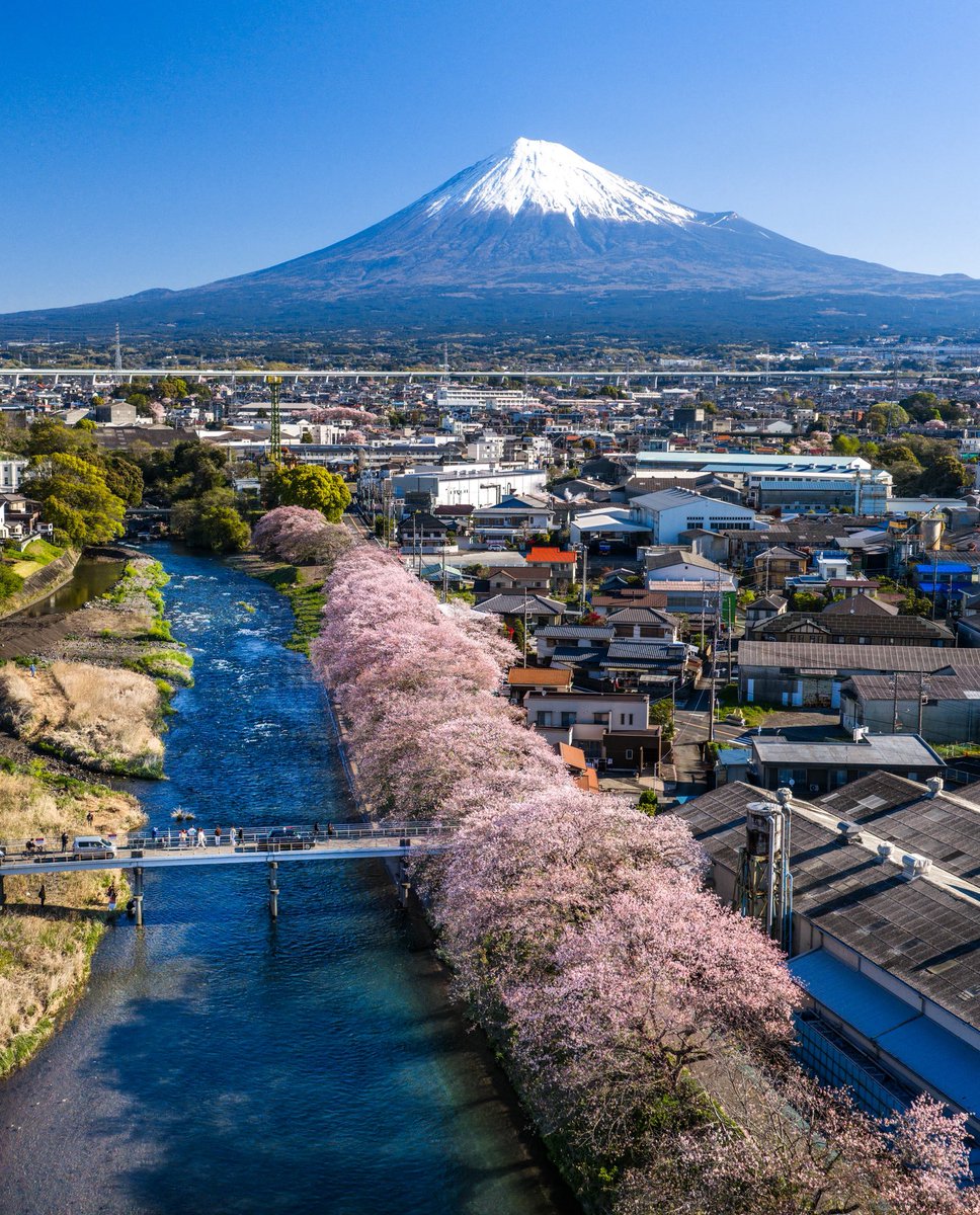 RIKI(田村梨貴) 富士山写真家 tweet media