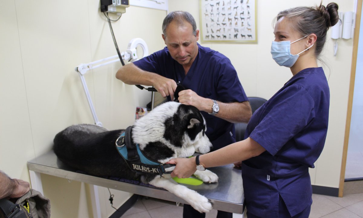 Hugh Behm-Steinberg tweet media