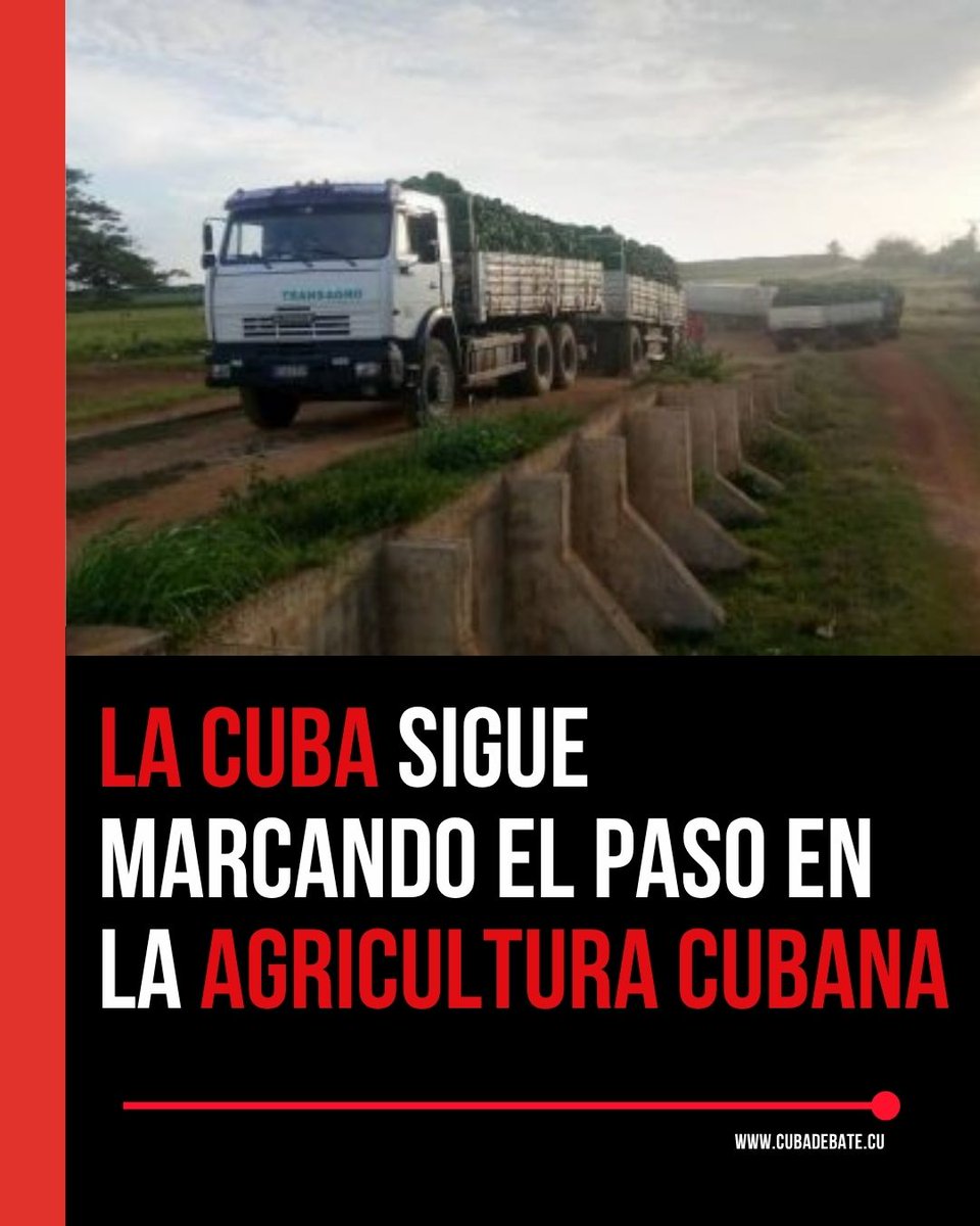 Cubadebate tweet media