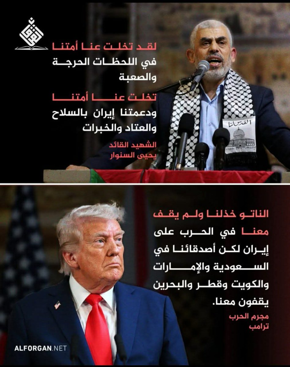 الشاعر بندر السقاف tweet media