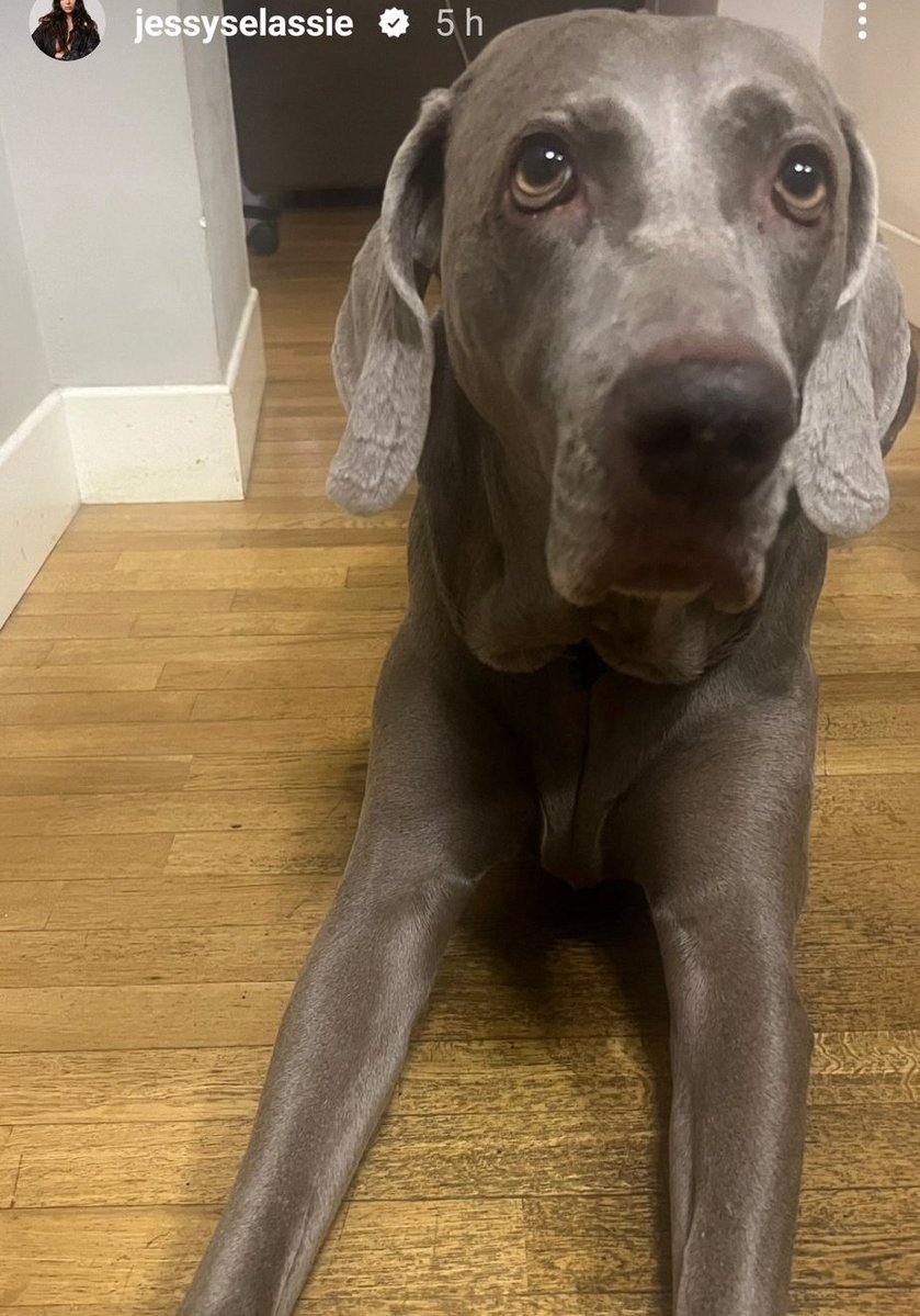 Cleos 😎 tweet media