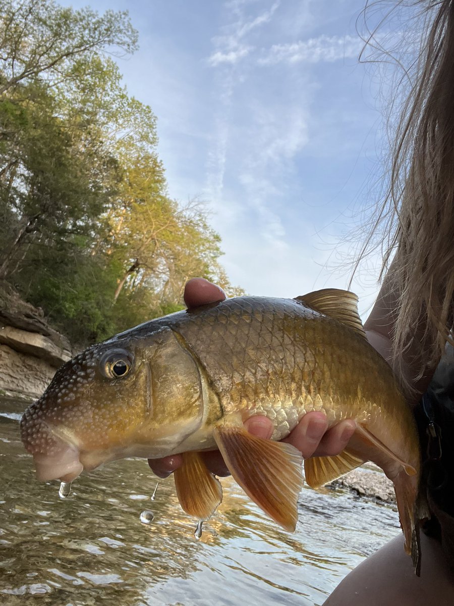 Femgirl Fishing🏳️‍⚧️🎣 tweet media