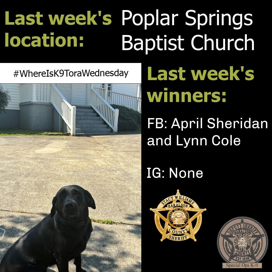 HCSOK9Division's tweet image. Well, K-9 Tora couldn’t fool y’all last week. She was posing in front of Poplar Springs Baptist Church. Congratulations to our winners!

Stay tuned to see where K-9 Tora will be hiding next…

#K9Tora🐾💙
#WhereIsK9Tora
#HideAndSeek
#Community
#SpecialOpsK9
#HCSOK9Division
#HCSO