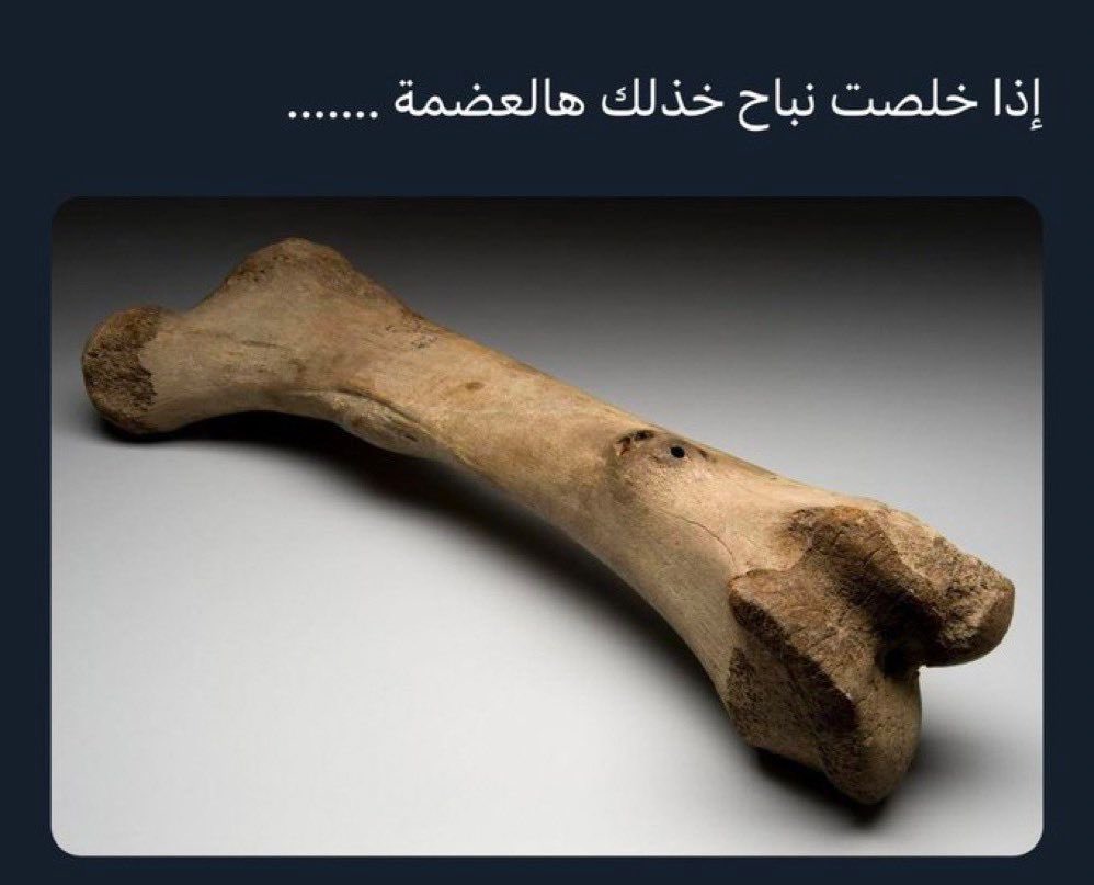 ア|🇵🇹 tweet media