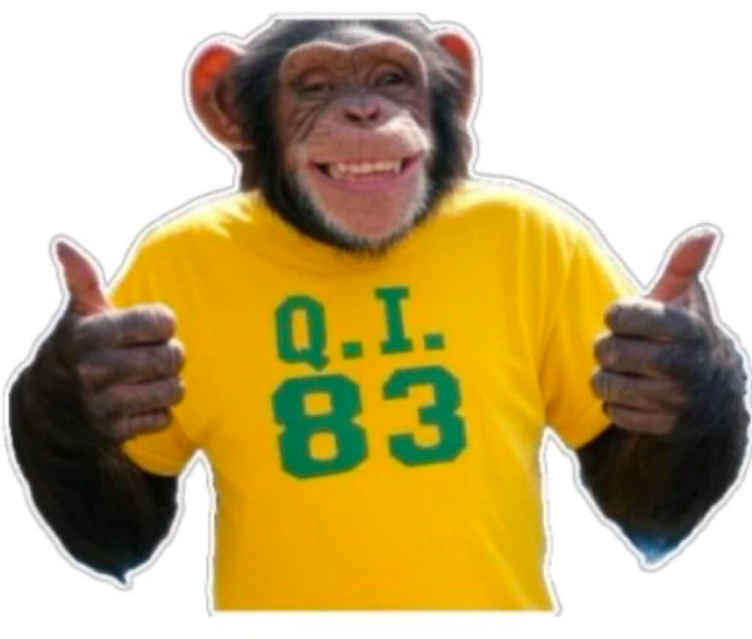 TheRoster tweet media