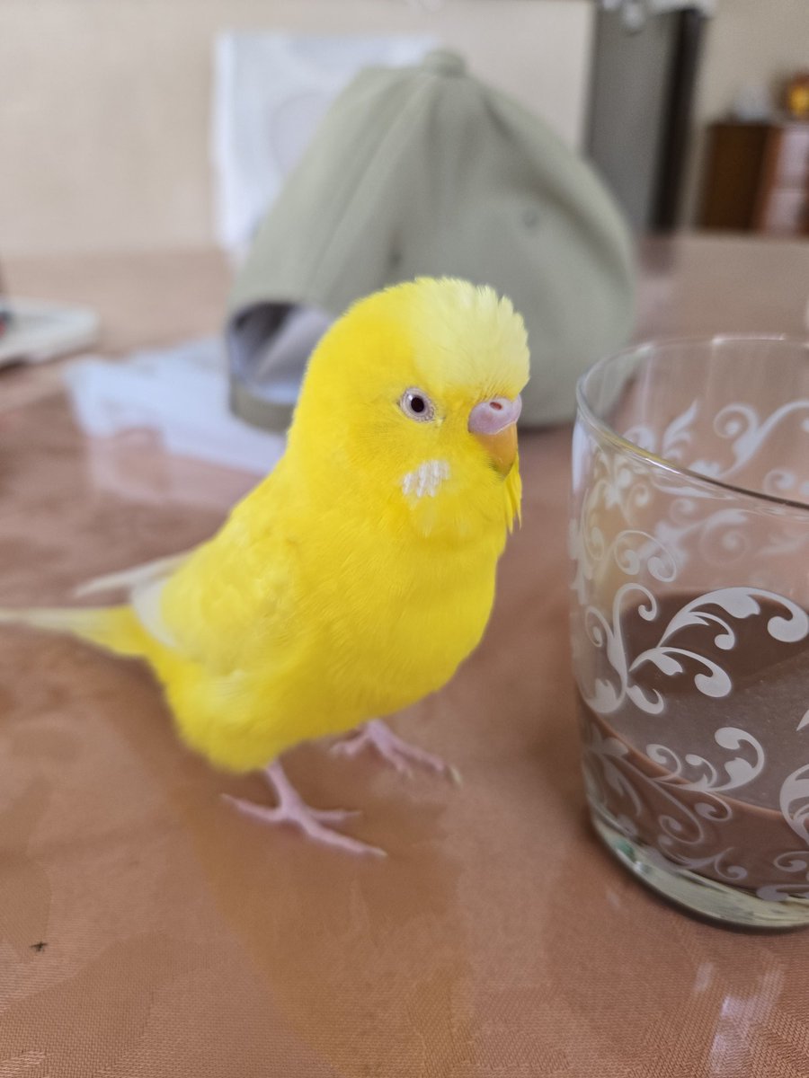 tamimaru☆ tweet media