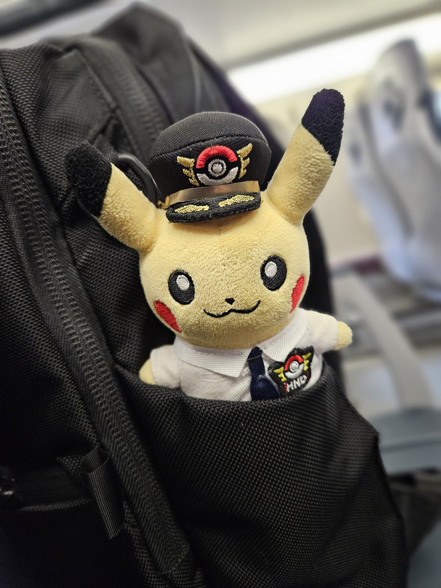 Sheena 🌍🛫 tweet media