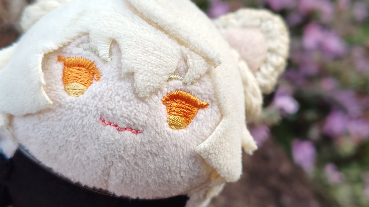 🐣ころも🐥 tweet media