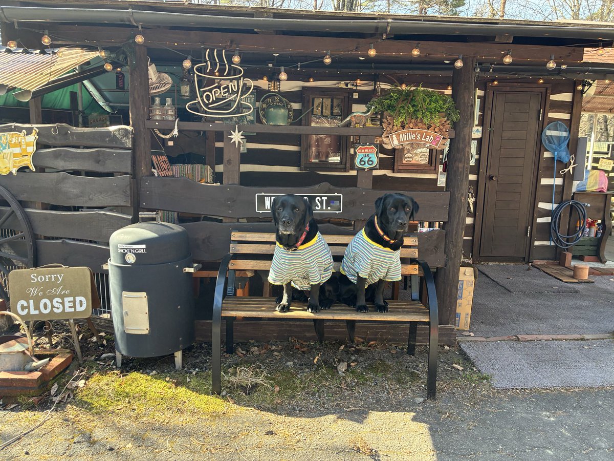 BAMBOOFOREST26's tweet photo. 今年の初キャンプ🏕️
@milie's lab https://t.co/sF72CTc5W2