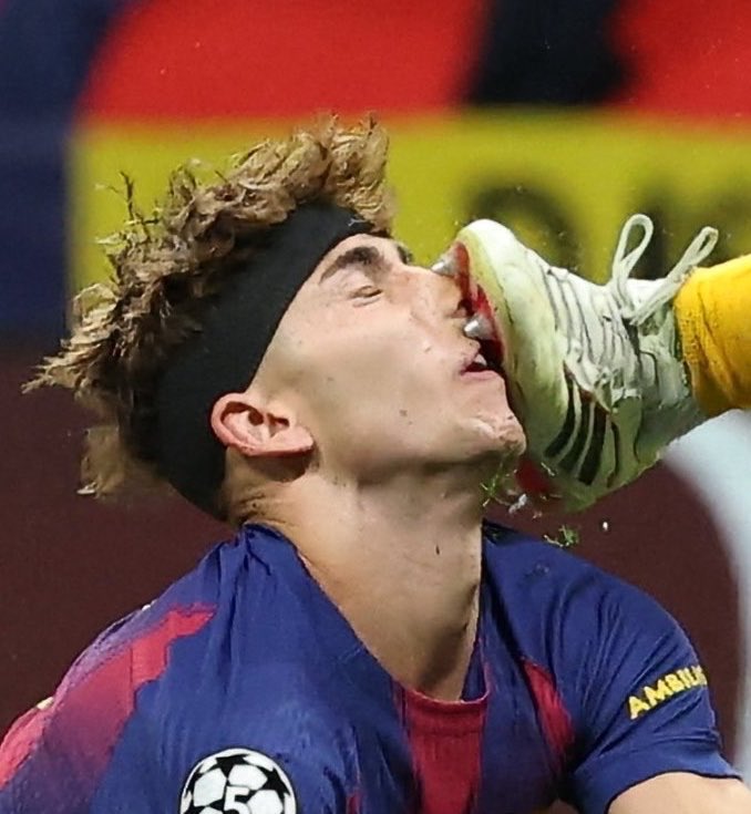 Ali amer tweet media