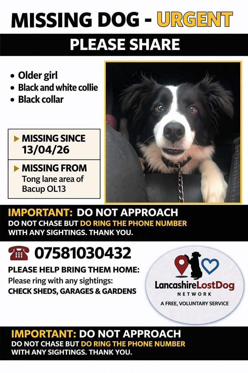 The_Animal_Team's tweet image. ❌ STILL MISSING ❌ Black/White #Collie #missing since 13/4/26 from #TongLane area of #Bacup #OL13 area, #Lancashire. Older girl, black collar. facebook.com/share/p/1DsujZ… #MissingCollie #LostCollie #MissingDog #Dogs