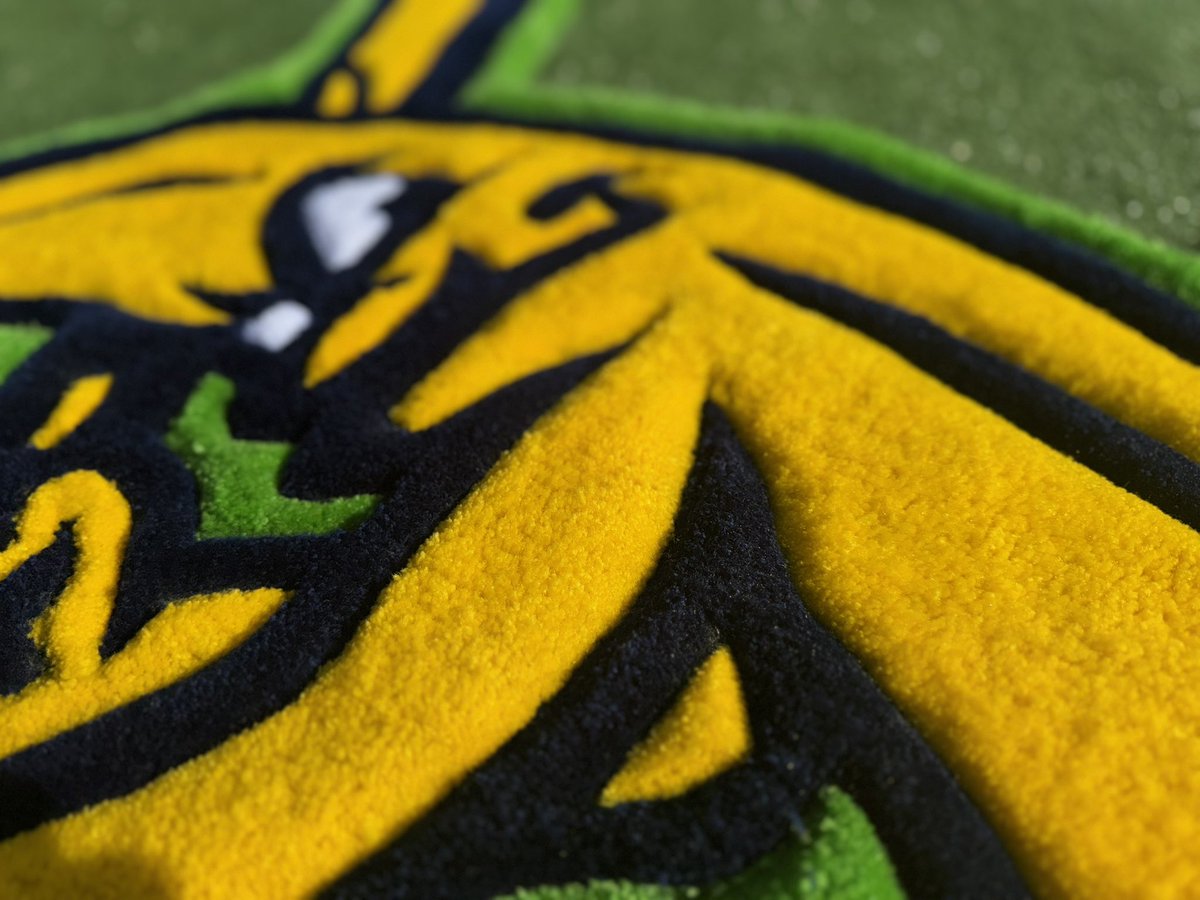 acartnz7's tweet photo. Savannah bananas rug AVAILABLE!!🍌 
#savannahbananas #baseball #rugtufting #art #handmaderugs #Atlanta #handmade https://t.co/t80K8PCaDD