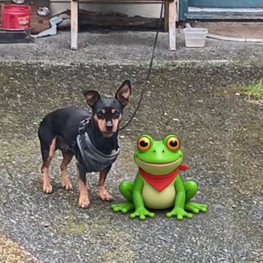 #NewProfilePic