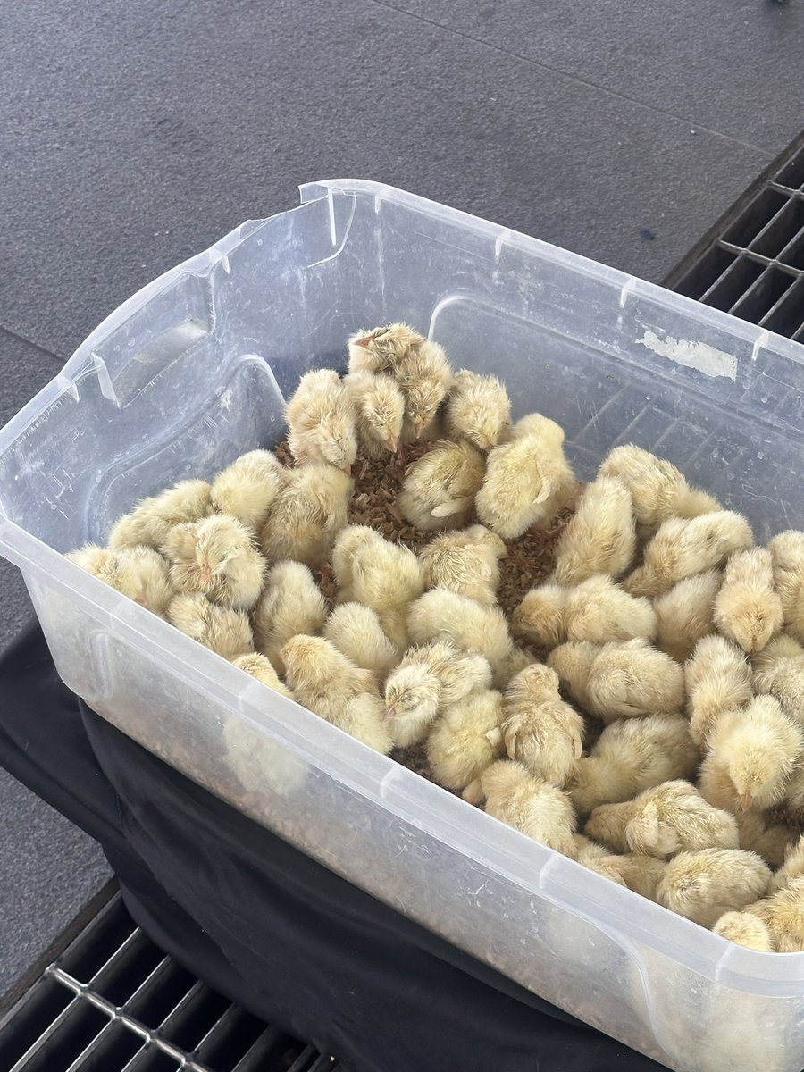 Samantha tweet media