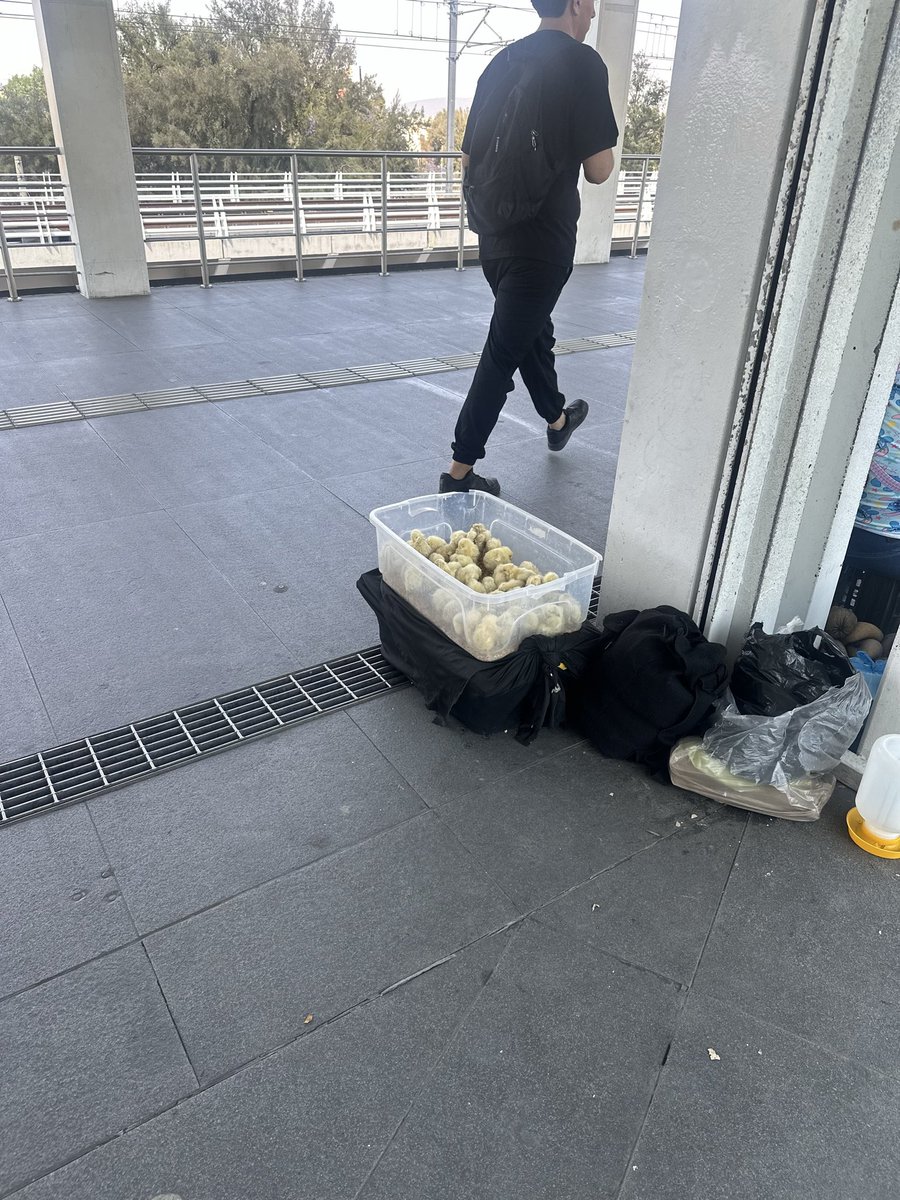 Samantha tweet media